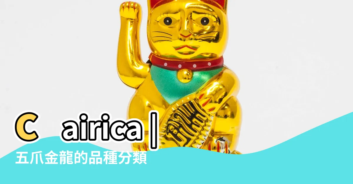 【五爪金龍竹】cairica |五爪金龍的品種分類 |五爪金龍 |