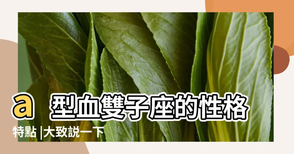 a型血雙子座的性格特點 |大致説一下 |雙子座A型血女生什麼性格啊 |【雙子a型女生性格】