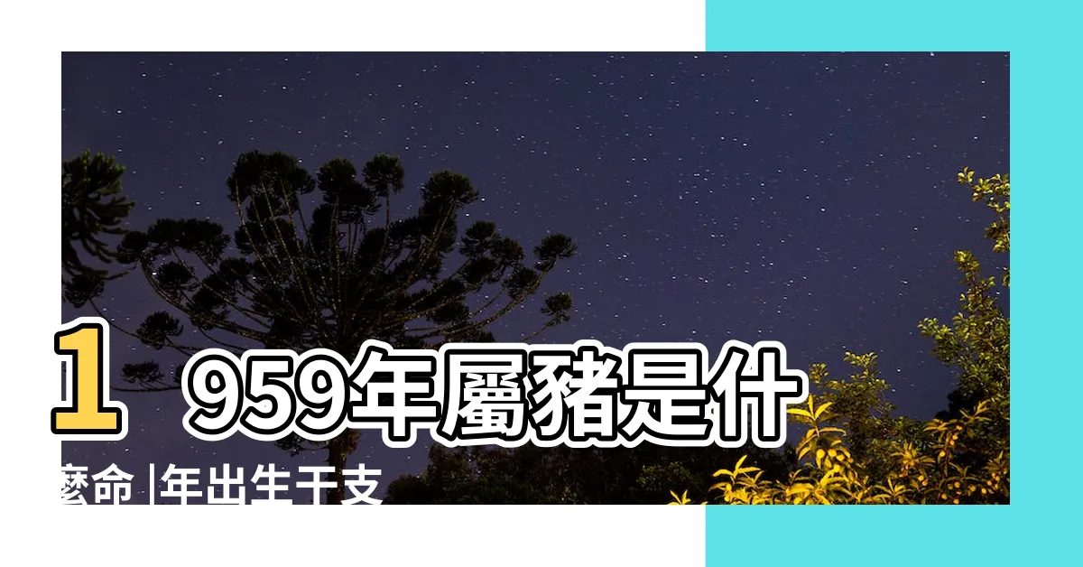 【59年次五行】1959年屬豬是什麼命 |年出生干支姓名學 |民國59年 |