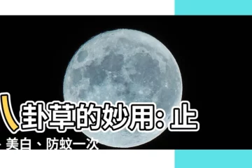 【八卦草用途】八卦草的妙用: 止癢、美白、防蚊一次搞定