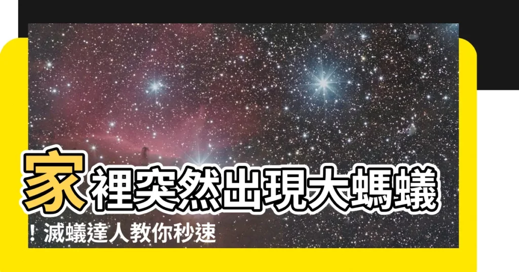 【家裡突然出現大螞蟻】家裡突然出現大螞蟻！滅蟻達人教你秒速消滅螞蟻大軍