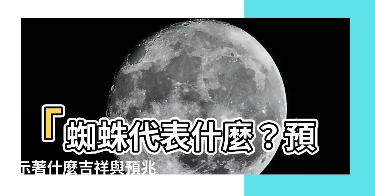 【蜘蛛代表什麼】「蜘蛛代表什麼？預示著什麼吉祥與預兆？」
