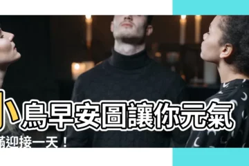 【小鳥早安圖】小鳥早安圖讓你元氣滿滿迎接一天！