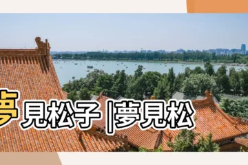 【做夢夢見松子】夢見松子 |夢見松子 |