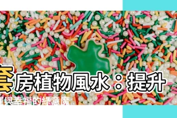 【套房植物風水】套房植物風水：提升財運與幸福的綠意魔法
