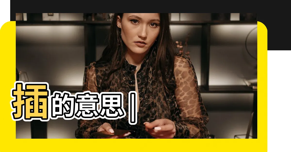 【插意思】插的意思 |