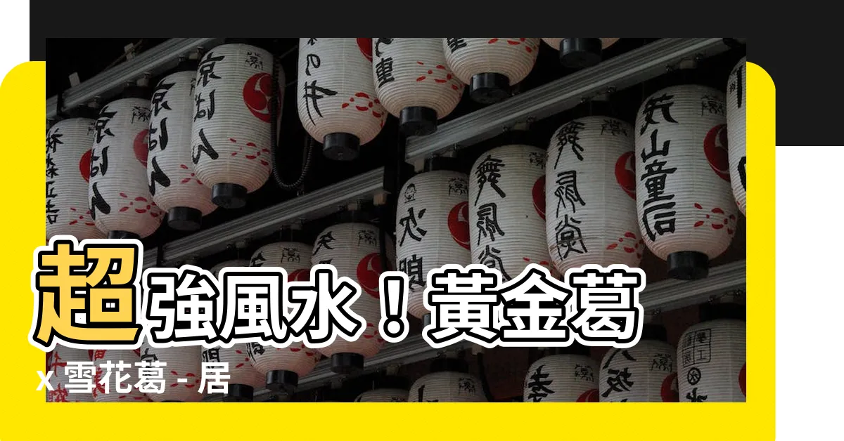 【雪花葛風水】超強風水！黃金葛 x 雪花葛 - 居家開運心得大公開