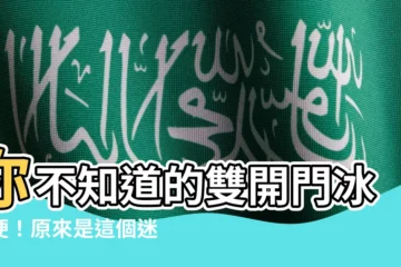 【雙開門】你不知道的雙開門冰箱梗！原來是這個迷因意思！