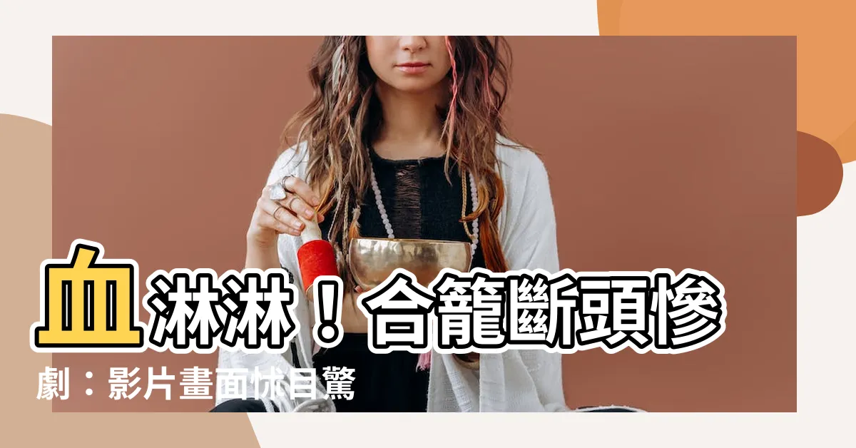【老鼠合籠斷頭慘劇】血淋淋！合籠斷頭慘劇：影片畫面怵目驚心