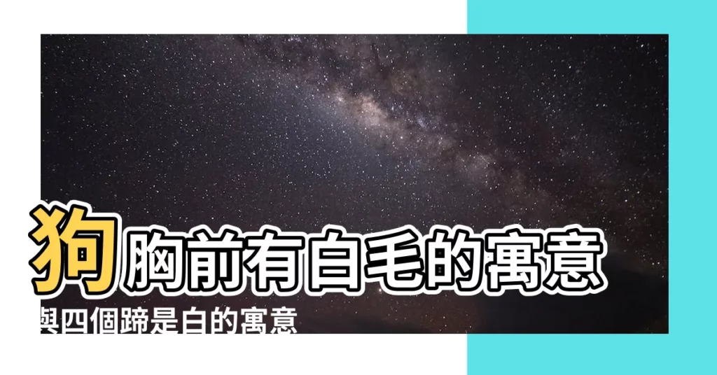 【狗胸前有白毛】狗胸前有白毛的寓意與四個蹄是白的寓意