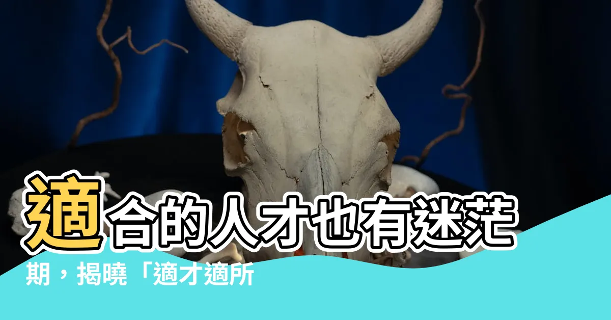 【適合的人放在適合的位置成語】適合的人才也有迷茫期，揭曉「適才適所」成語淵源！
