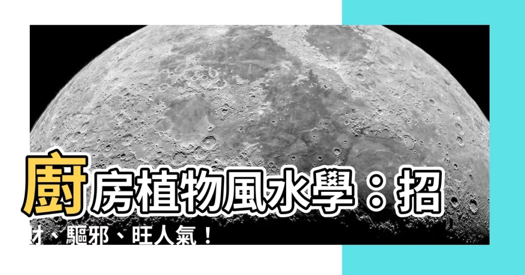 【廚房植物風水】廚房植物風水學：招財、驅邪、旺人氣！