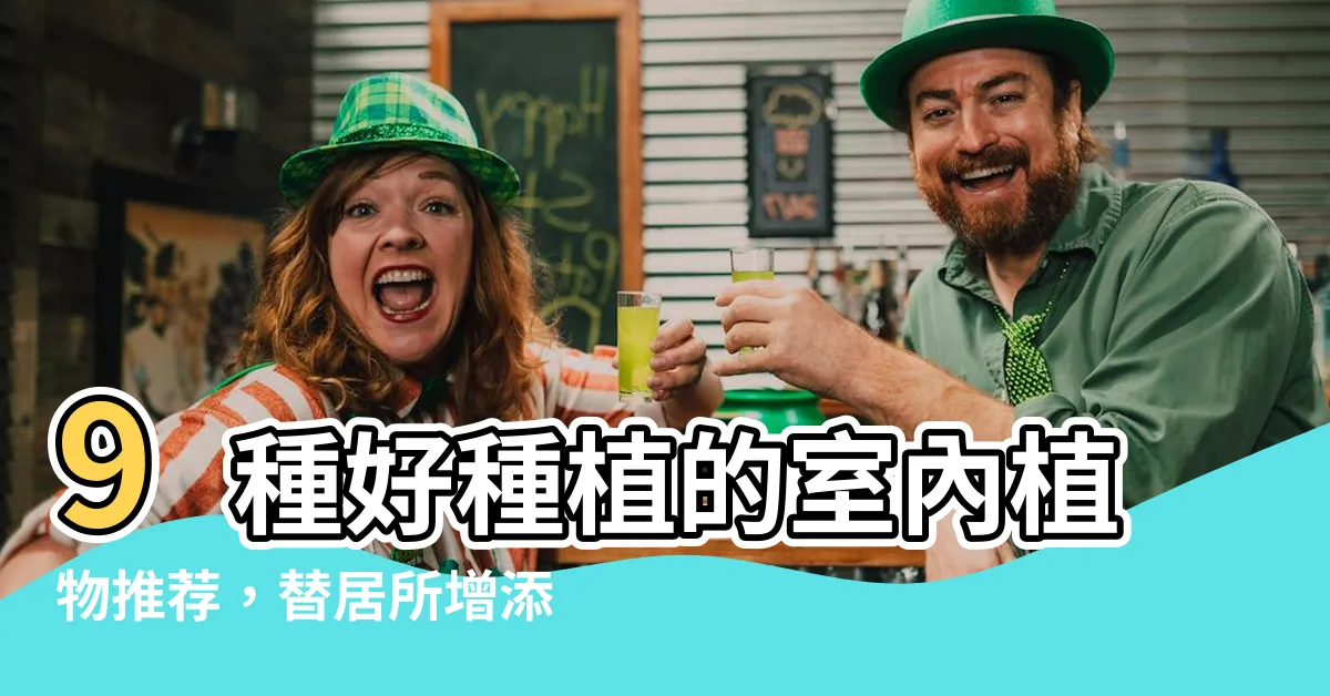 【好種植的植物】9種好種植的室內植物推薦，替居所增添綠意！