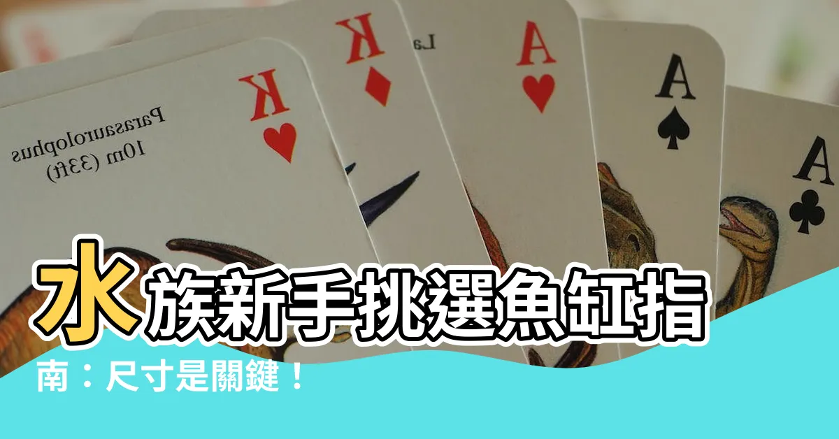 【魚缸尺寸】水族新手挑選魚缸指南：尺寸是關鍵！