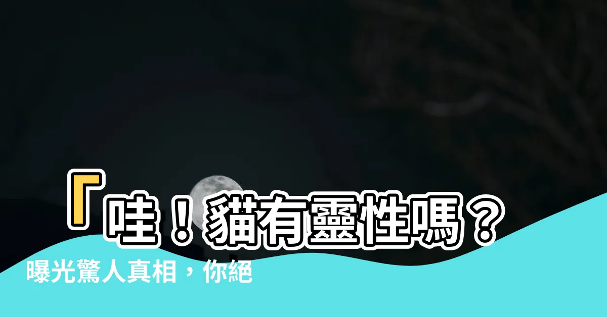 【貓有靈性嗎】「哇！貓有靈性嗎？曝光驚人真相，你絕對無法想像！」