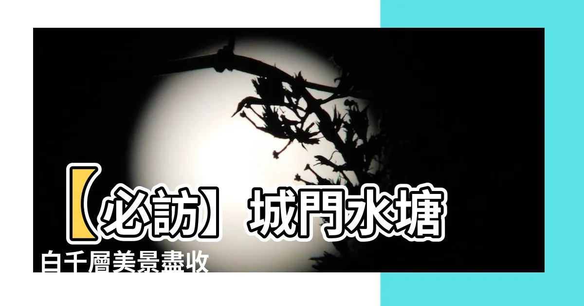 【城門水塘】【必訪】城門水塘 - 白千層美景盡收眼底！打造最佳遊覽路線