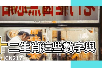 【十二生肖中代表什麼生肖或數字】十二生肖這些數字與年份 |CN2174736Y |儘量避開 |
