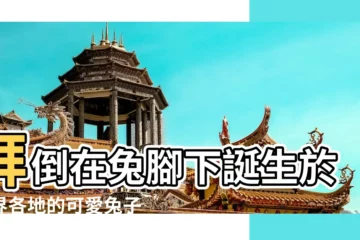 【關於兔子的諺語】拜倒在兔腳下誕生於世界各地的可愛兔子用語 |關於兔子的諺語 |有關兔子的俗語 |