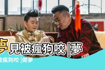 【周公解夢被瘋狗咬腳】夢見被瘋狗咬 |夢見被瘋狗咬 |做夢夢見被瘋狗咬好不好 |
