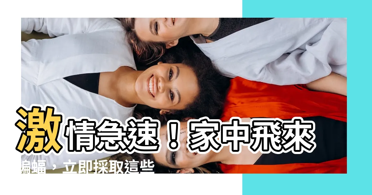 【家中飛來蝙蝠】激情急速！家中飛來蝙蝠，立即採取這些驚人解決方法！