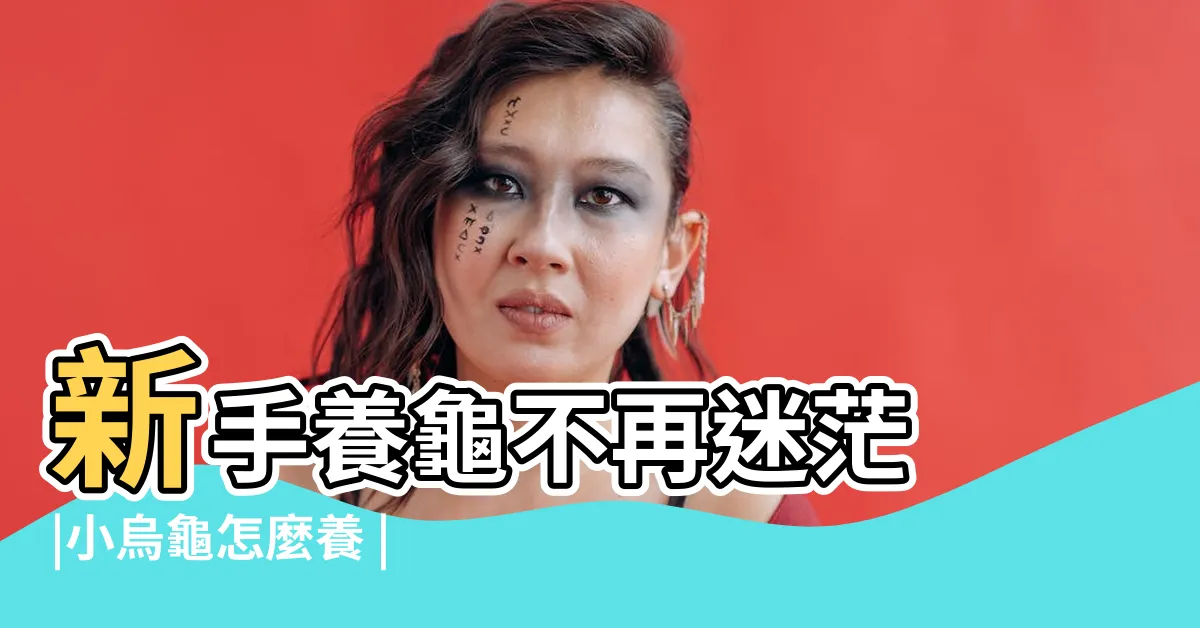 【烏龜好養嗎】新手養龜不再迷茫 |小烏龜怎麼養 |烏龜懶人包 |