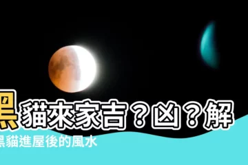【黑貓來家裡】黑貓來家吉？兇？解密黑貓進屋後的風水預兆