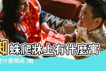 【蜘蛛爬到牀上】蜘蛛爬牀上有什麼寓意是什麼預兆 |蜘蛛爬牀上有什麼寓意蜘蛛爬牀上是什麼預兆 |蜘蛛爬牀上是什麼預兆 |
