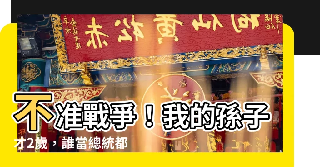 【我的孫子才2歲】不準戰爭！我的孫子才2歲，誰當總統都不能開戰！