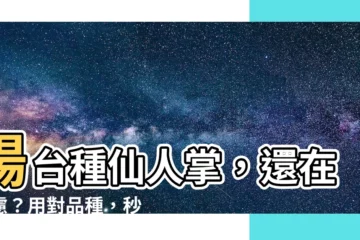 【陽台種仙人掌】陽台種仙人掌，還在考慮？用對品種，秒變空中綠洲！