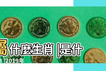 【2019年12月25日屬什麼】屬什麼生肖 |是什麼命 |2019年12月25日出生的人命好嗎 |