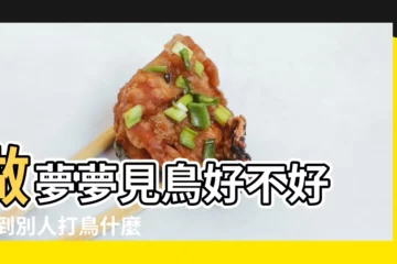 【夢見和幾個朋友打鳥】做夢夢見鳥好不好 |夢到別人打鳥什麼意思 |夢境解析 |