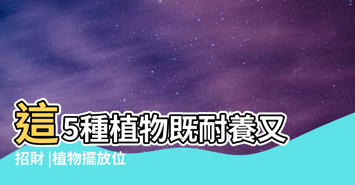 【店面植物】這5種植物既耐養又招財 |植物擺放位置很重要 |店鋪生意好不好 |