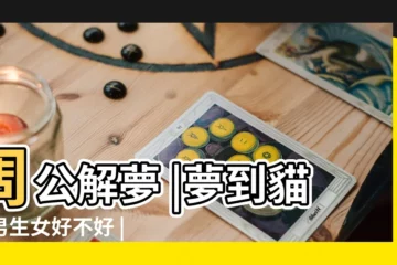 【夢見貓是生男孩女孩】周公解夢 |夢到貓生男生女好不好 |夢見貓生男生女 |