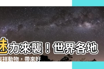 【幸運動物】魅力來襲！世界各地的吉祥動物，帶來好運與祝福