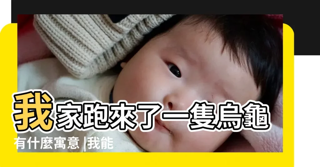 我家跑來了一隻烏龜有什麼寓意 |我能養嗎 |家裏莫名其妙地爬來一隻烏龜代表什麼意思 |【家裏跑來一隻烏龜好不好】