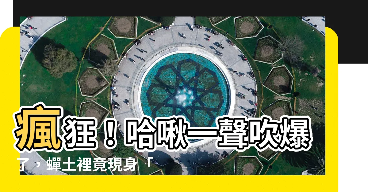 【蟬 土裡】瘋狂！哈啾一聲吹爆了，蟬土裡竟現身「週期蟬」17年絕密計畫！