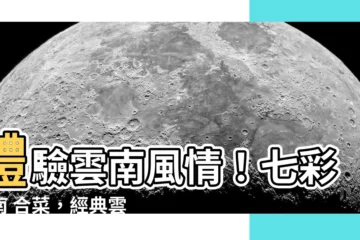 【七彩雲南 合菜】體驗雲南風情！七彩雲南 合菜，經典雲南美食一次嚐鮮
