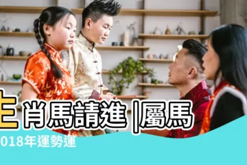 【屬馬處女座2018年運勢】生肖馬請進 |屬馬的2018年運勢運程詳解 |星座不同 |
