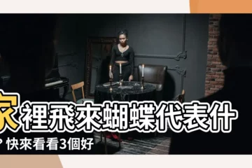 【家裡出現蝴蝶代表什麼】家裡飛來蝴蝶代表什麼？快來看看3個好徵兆！