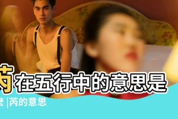【芮的意思和五行屬性】芮在五行中的意思是什麼 |芮的意思 |字五行屬什麼 |