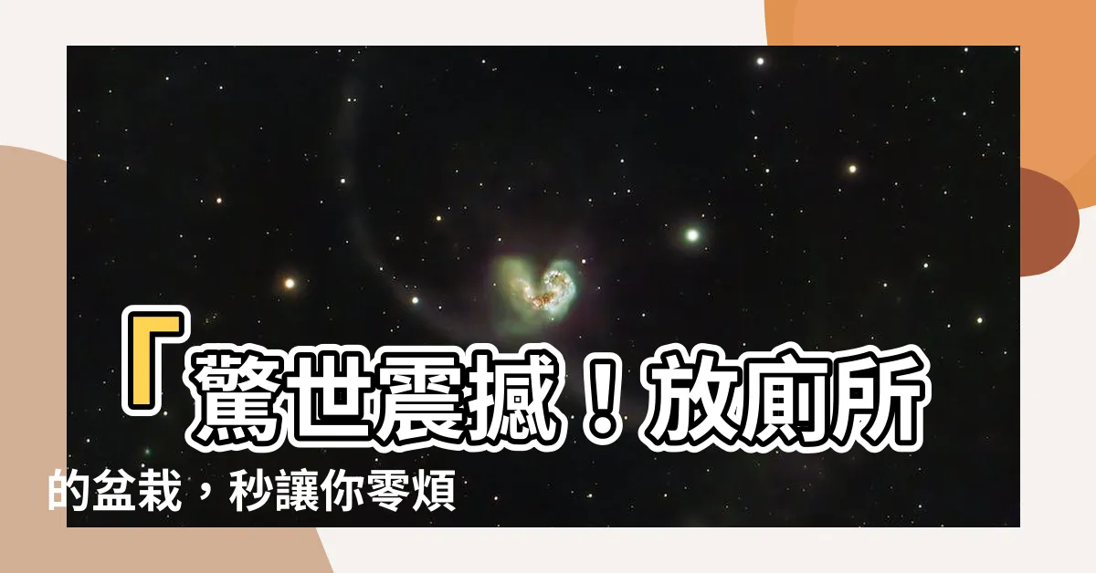【放廁所的盆栽】「驚世震撼！放廁所的盆栽，秒讓你零煩惱一整天！」