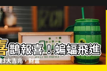 【蝙蝠飛進家裏】喜鵲報喜！蝙蝠飛進家裡3大吉兆，財富與幸福飛到你家