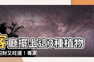 【放客廳的植物】客廳擺上這3種植物，招財又旺運！專家揭秘財運加倍的小秘訣