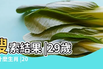 【今年29歲是什麼生肖是什麼】搜索結果 |29歲屬什麼生肖 |2023年29歲屬什麼生肖和什麼屬相婚配 |