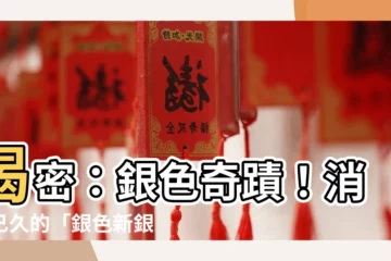【銀色的魚】揭密：銀色奇蹟！消失已久的「銀色新銀魚」重返餐桌