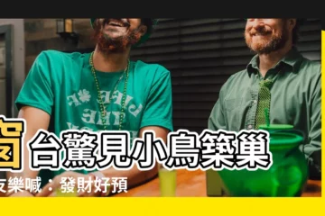【小鳥在窗户築巢】窗台驚見小鳥築巢 網友樂喊：發財好預兆！