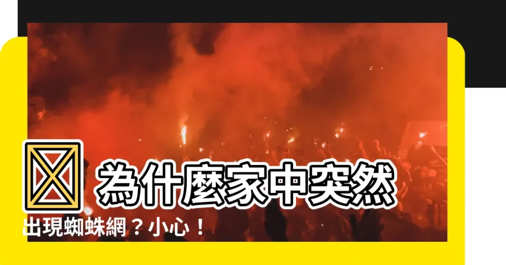 【為什麼會有蜘蛛網】😨 為什麼家中突然出現蜘蛛網？小心！可能不只是灰塵這麼簡單！