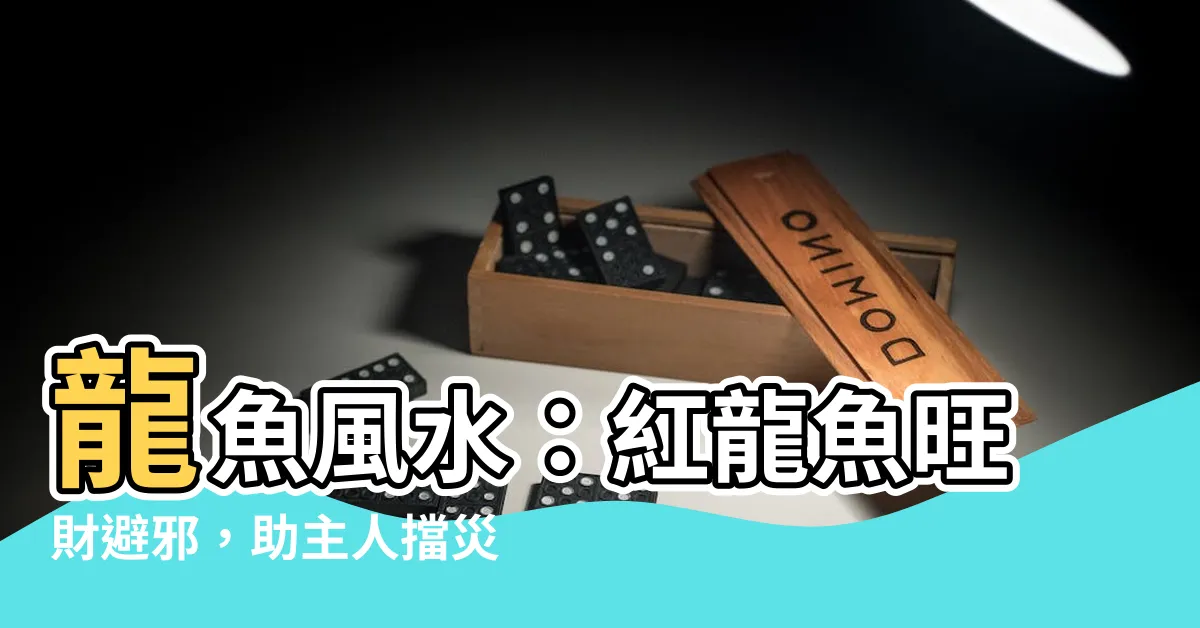 【紅龍魚風水】龍魚風水：紅龍魚旺財避邪，助主人擋災運