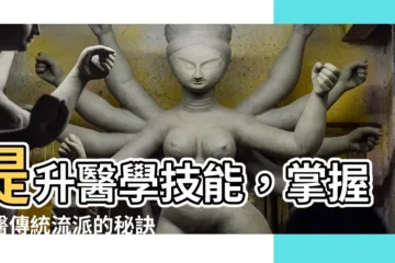 【道醫】提升醫學技能，掌握道醫傳統流派的秘訣與智慧