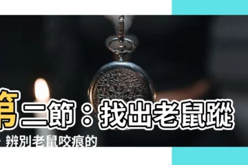 【老鼠 咬痕】第二節：找出老鼠蹤跡，辨別老鼠咬痕的關鍵徵兆！